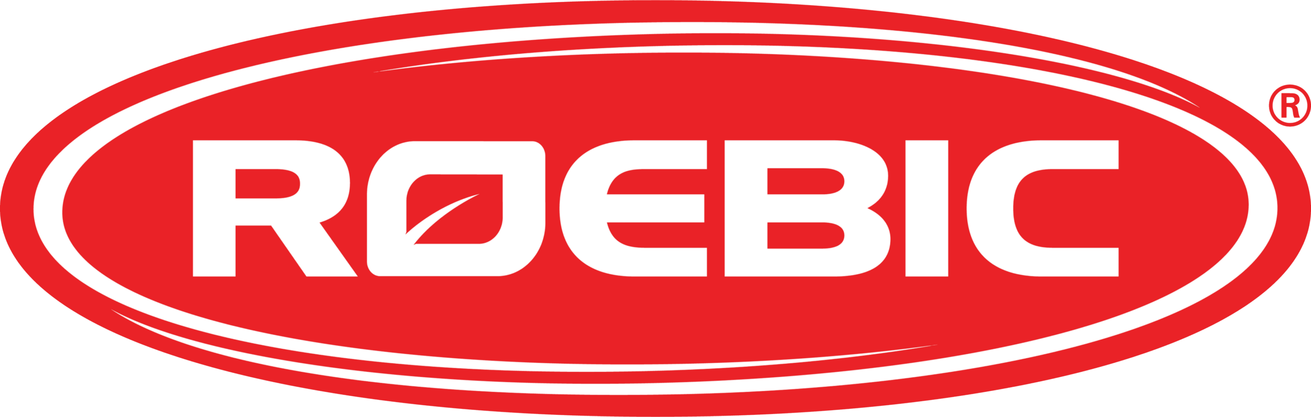 Roebic